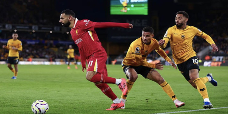 Kinh nghiệm từ những người đi trước chính là thứ người chơi mới cần phải học hỏi 