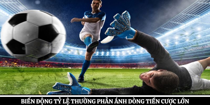 Biến động tỷ lệ thường phản ánh dòng tiền cược lớn